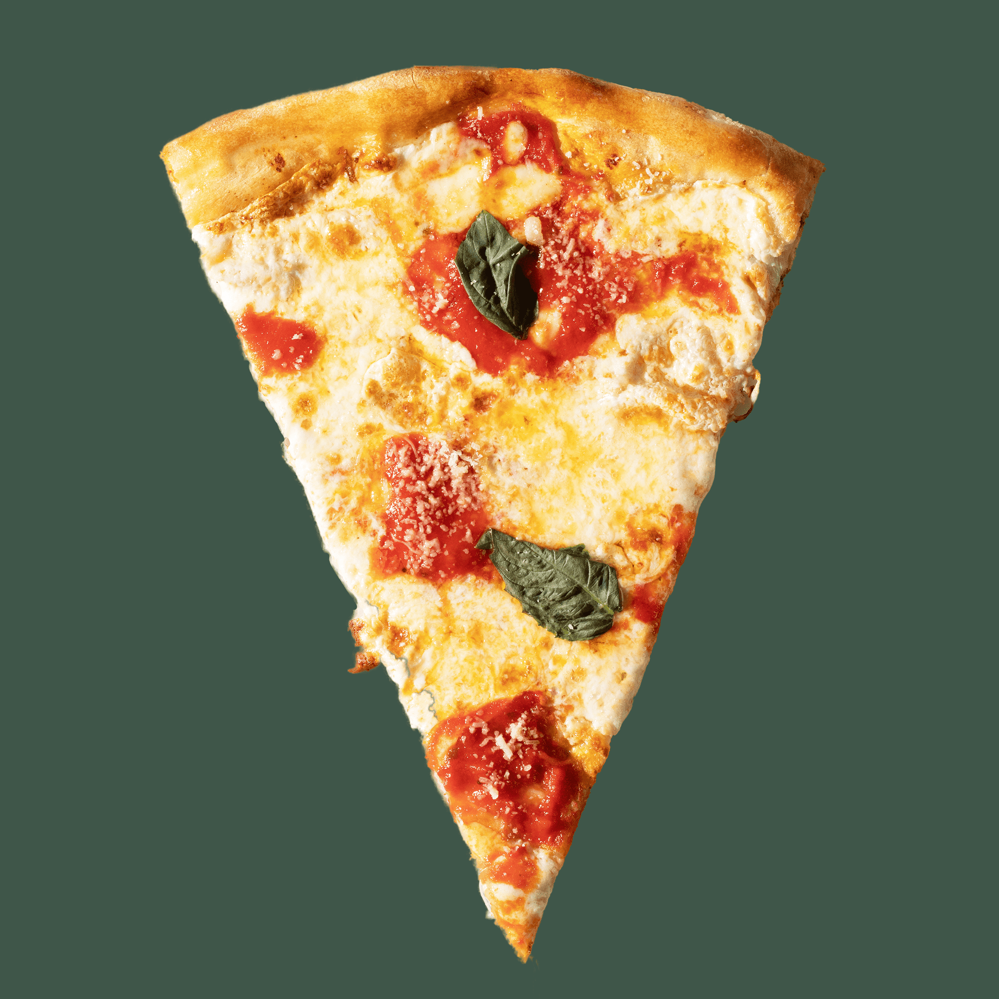 Coal Oven Margherita Pizza Slices